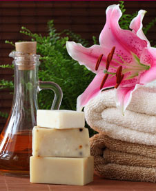 Holistic Wellness Program